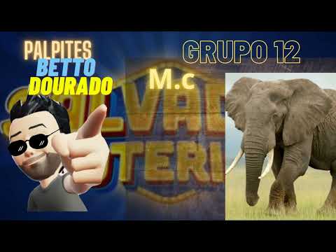 Betto Dourado Palpites Bagaceira dia 12/12/2025 Rio Look Nacional São Paulo Lotep 