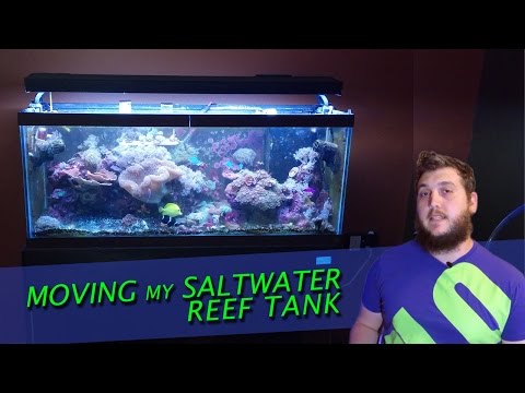 How I moved my Saltwater Reef Tank!