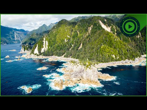 Canada's Secret Coastline: What Makes This Paradise Island The Galapagos of the North