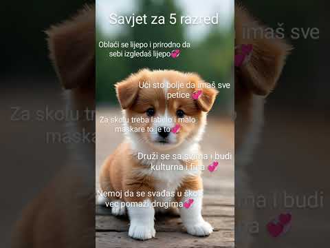 savjet za 5 razred🤍🤍
