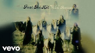 Wild Horses II Music Video