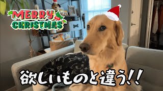 クリスマスプレゼントを渡したら、全力で拒否られたw｜クリスマスプレゼント開封動画
