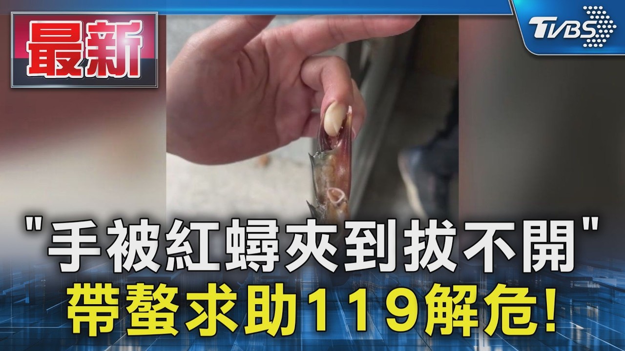 料理紅蟳「手指遭斷螯死夾」 騎車求助消防隊徒手扳開