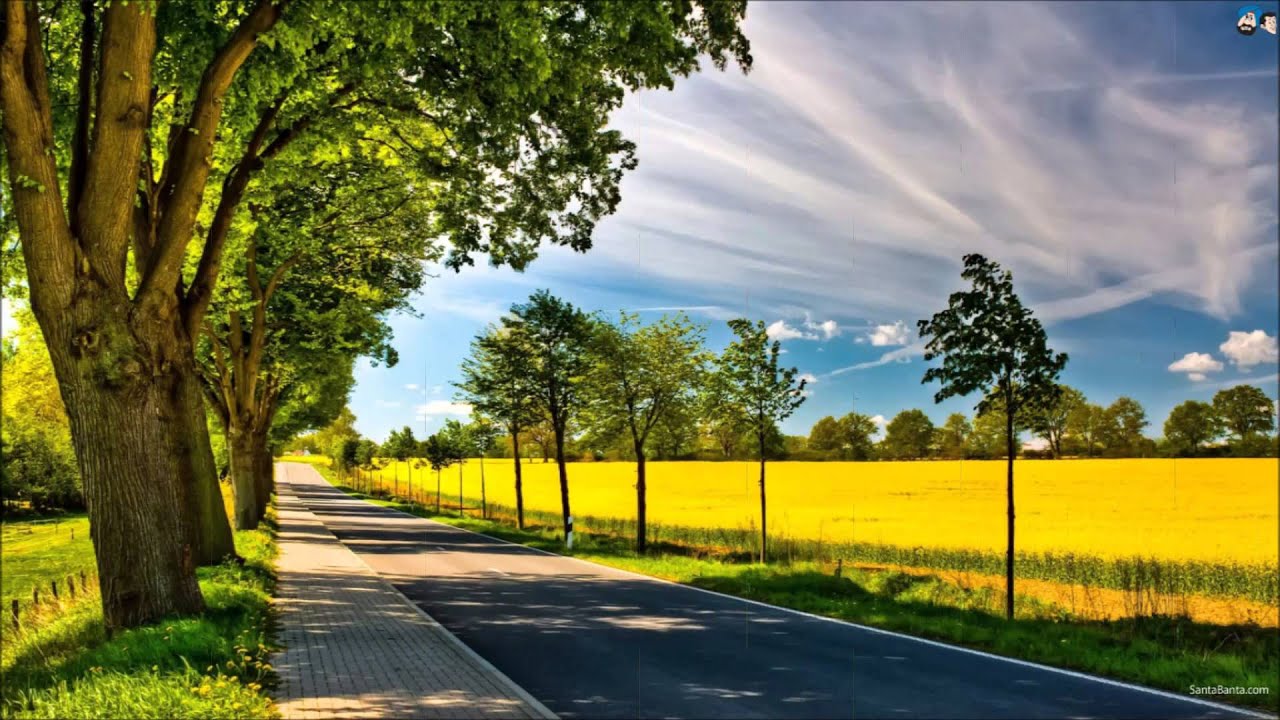 Tera Kisi Se Pyar Lyrics  | Dada | Sheikh Mukhtar, Shyam | Mukesh Chand Mathur (Mukesh), Surinder Kaur | Shakat Ali Dehlavi (Nashad)