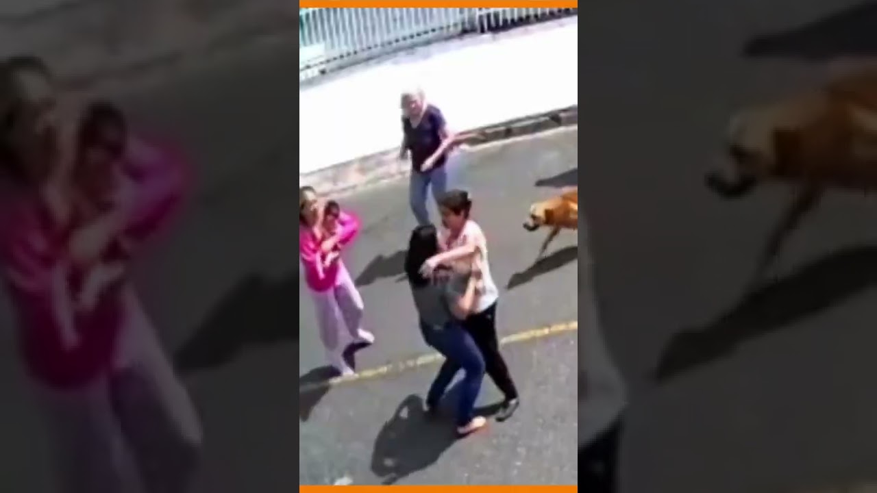 Policial de férias escuta gritos de mãe e salva bebê de afogamento #Shorts