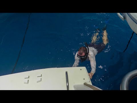 Prop Falling OFF + 40 Knot Storms = CRAZY Mozambique Channel Passage! - Ep  148