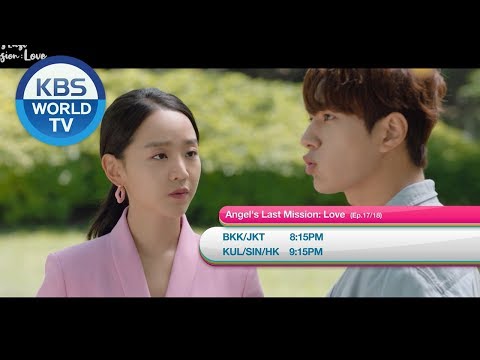 December 24 TUE - Gracious Revenge / Angel's Last Mission / Dogs Are Incredible [Today Highlights]