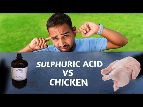 Sulphuric Acid Vs Chicken 🔥| @MRINDIANHACKER