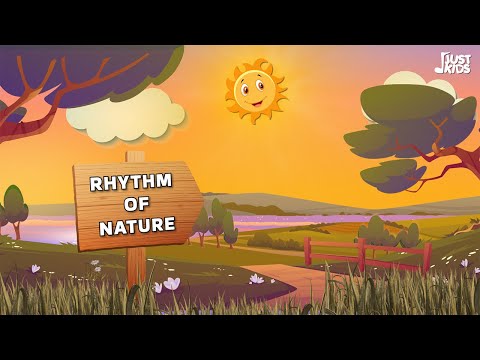 Rhythm of Nature| Jjust Kids | Nursery Rhyme & Kids Songs