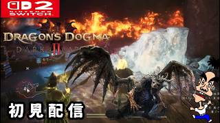 (8) ドラゴンズドグマ2ダークアリズン