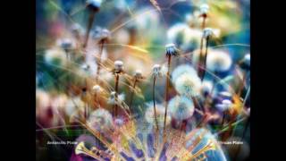 Gong - Give My Mother a Soul Call