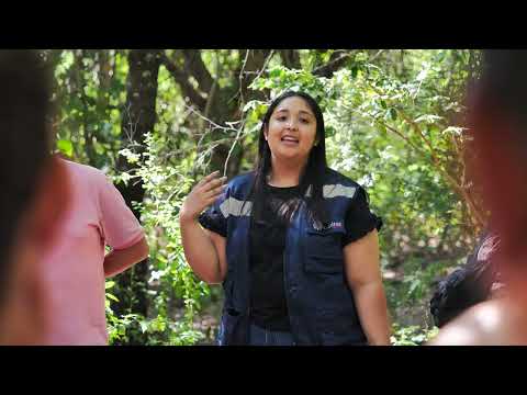 Alianza Ñuble y Maule: Comunidades Unidas contra los Incendios Forestales - Juntos Prevenimos