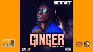 Shatta Wale - Ginger (Audio Slide)