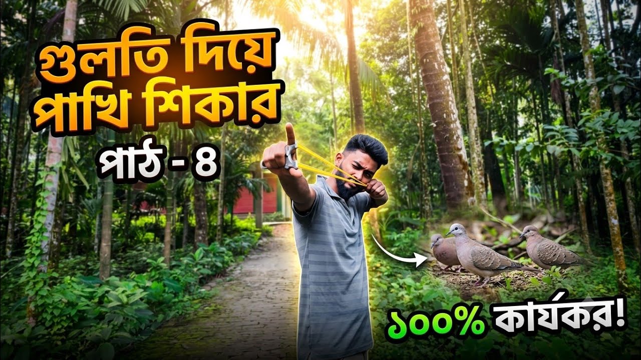 গুলতি দিয়ে ঘুঘু পাখি শিকার! পাঠ - ৪ #SlingshotHunting #HuntingVlog #DoveHunting