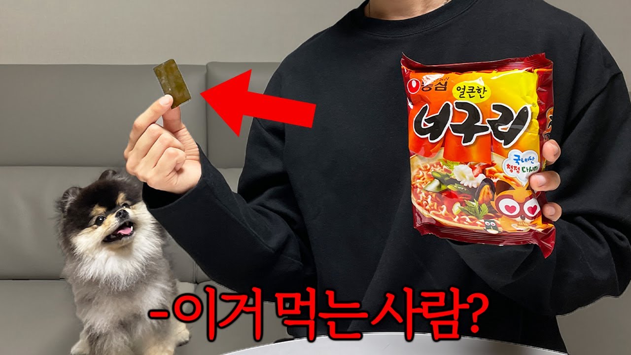 28만명이 투표한 희대의 난제..너구리 속 다시마 드십니까?