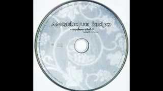 Angelique Kidjo - Voodoo Child Slight Return (1998)