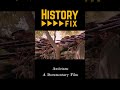 Antietam: South Mountain - Reel #antietam #civilwar #southmountain #history #wisconsin