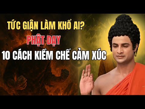 Tức Giận Làm Khổ Ai? Phật Dạy 10 Cách Kiềm Chế Cảm Xúc Mà Ít Người Biết! | Nghe Phật Dạy Ngủ Ngon