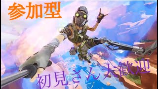APEX参加型　だんごのんびり配信