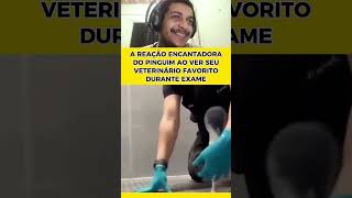Você vai se emocionar com o carinho desse pinguim #reacts