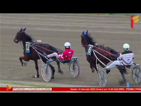 IV corsa del 14 gennaio 2023   4 Anni   Metri 1600   Reclamare