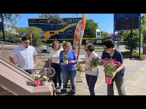 Message to our Parish of Our Lady of Dolours Chatswood - 27 October 2021