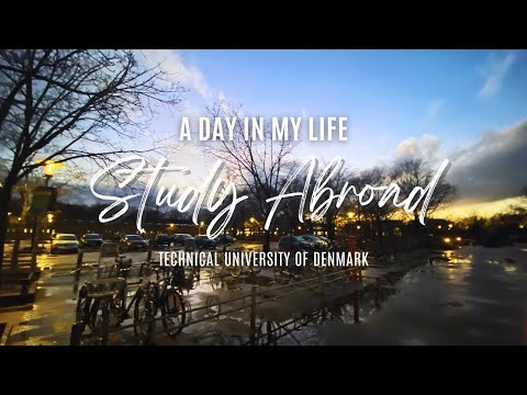 A Day in My Life at a Danish University | Technical University of Denmark