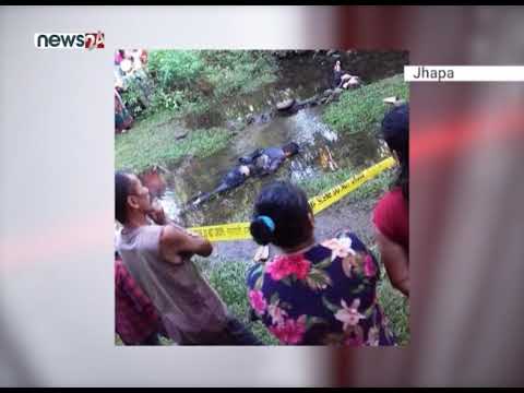 जंगली हात्ति भगाउन लगाएको विद्युतीयको करेन्ट लागि दुई जनाको मृत्यु - NEWS24 TV