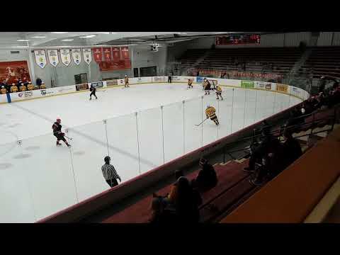 190127 Saline Hornets Prep @ Big Boy Hockey Club U18W
