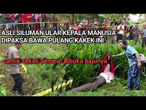 Viral Asli Miris Siluman Ular Dipaksa Bawa Pulang Ke Rumah Kakek ini