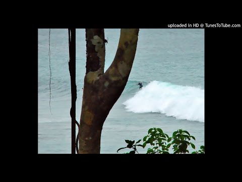 Club Des Belugas - Ocean Cruise