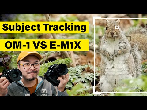OM-1 VS E-M1X Subject Tracking which one is BETTER ?? - RED35 LAB