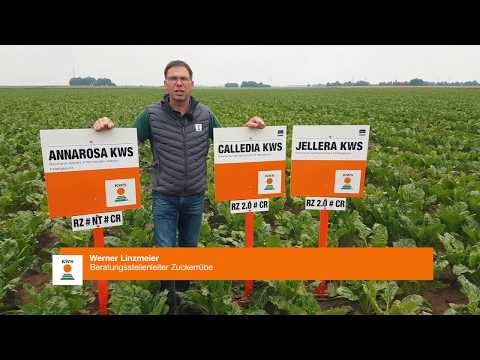 KWS Sortenempfehlungen 2021 - Plattling und Rain am Lech