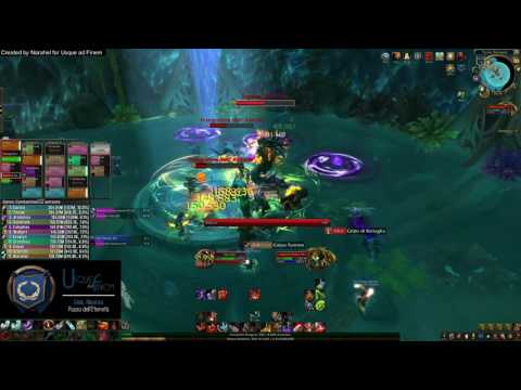 Usque ad Finem VS Signora Sassz'ine - Tomba di Sargeras NM