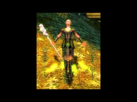 Guild Wars 2 - Necromancer Profession Overview