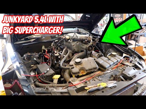 Lightning Swapped Mustang is alive! Supercharger Whines so LOUD - Holley Terminator X Install