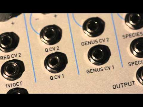 Evolution Variable Character Ladder Filter