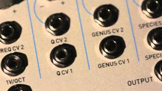 Video thumbnail for Evolution Variable Character Ladder Filter by Rossum Electro-Music