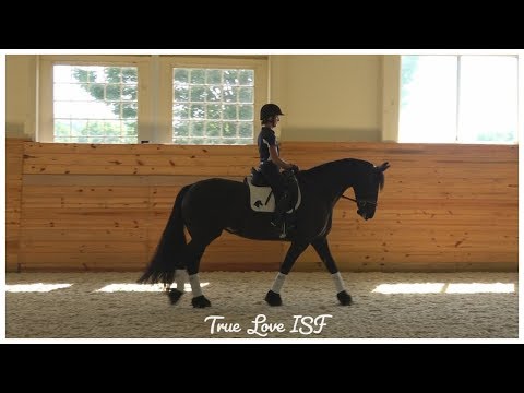 True Love ISF, Star at Iron Spring Farm