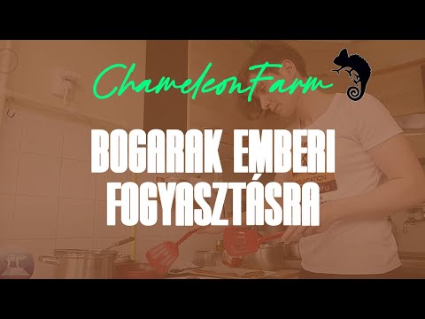 ChameleonFarm - Bogarak emberi fogyasztásra