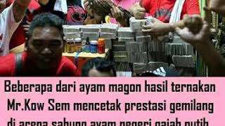Download lagu Raja magon thailand..MR KOW SEM mp3