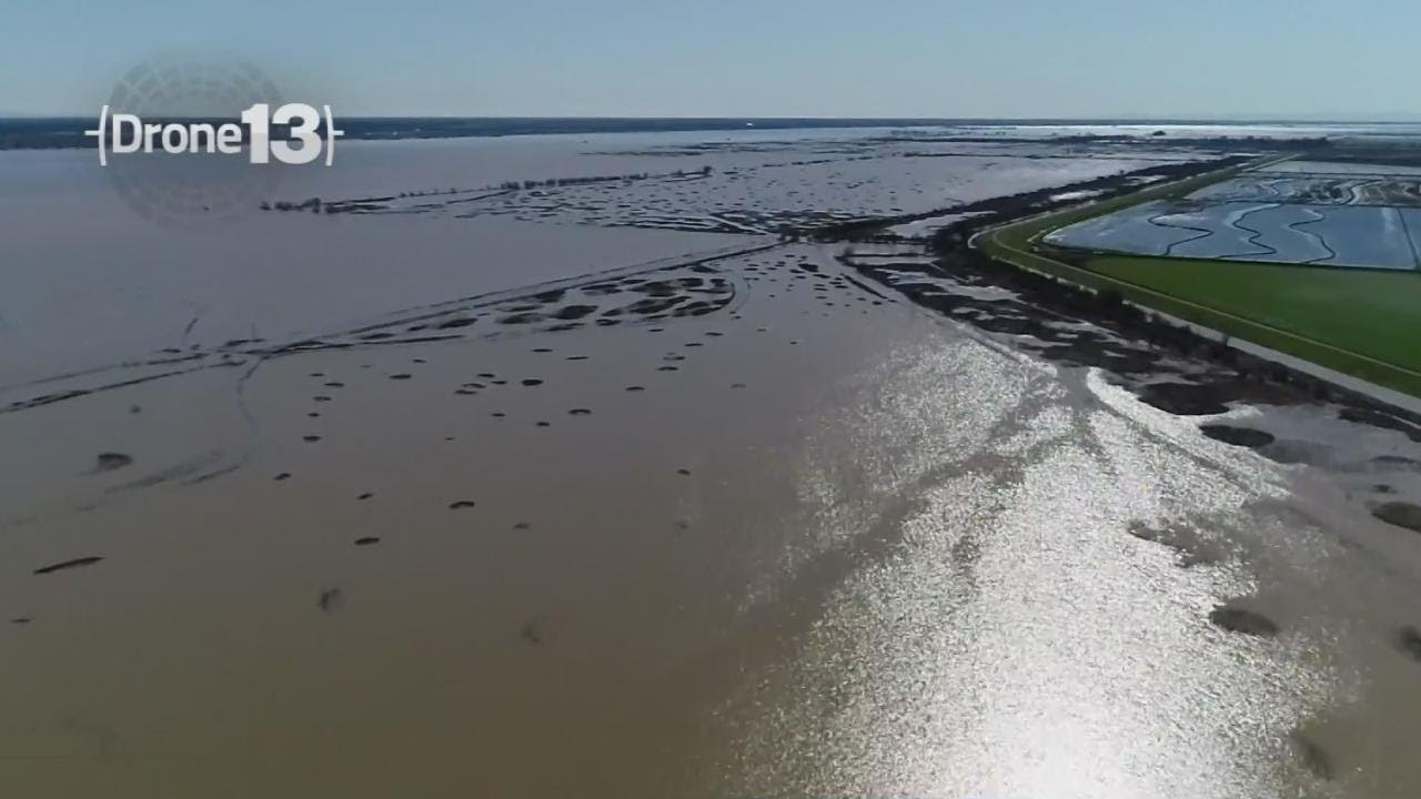 Efforts Underway To Save California's Salmon Population