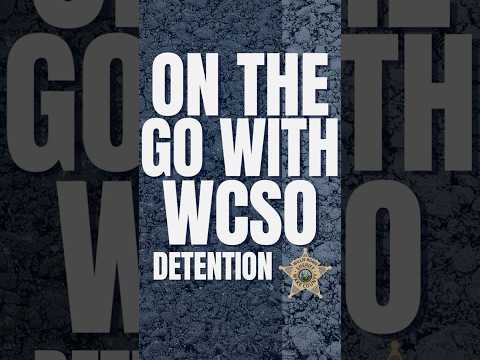Wake County Arrests