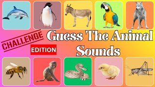Learn Animal Sounds *CHALLENGE EDITION* | Guess Which Animal Makes This Sound For Kids!