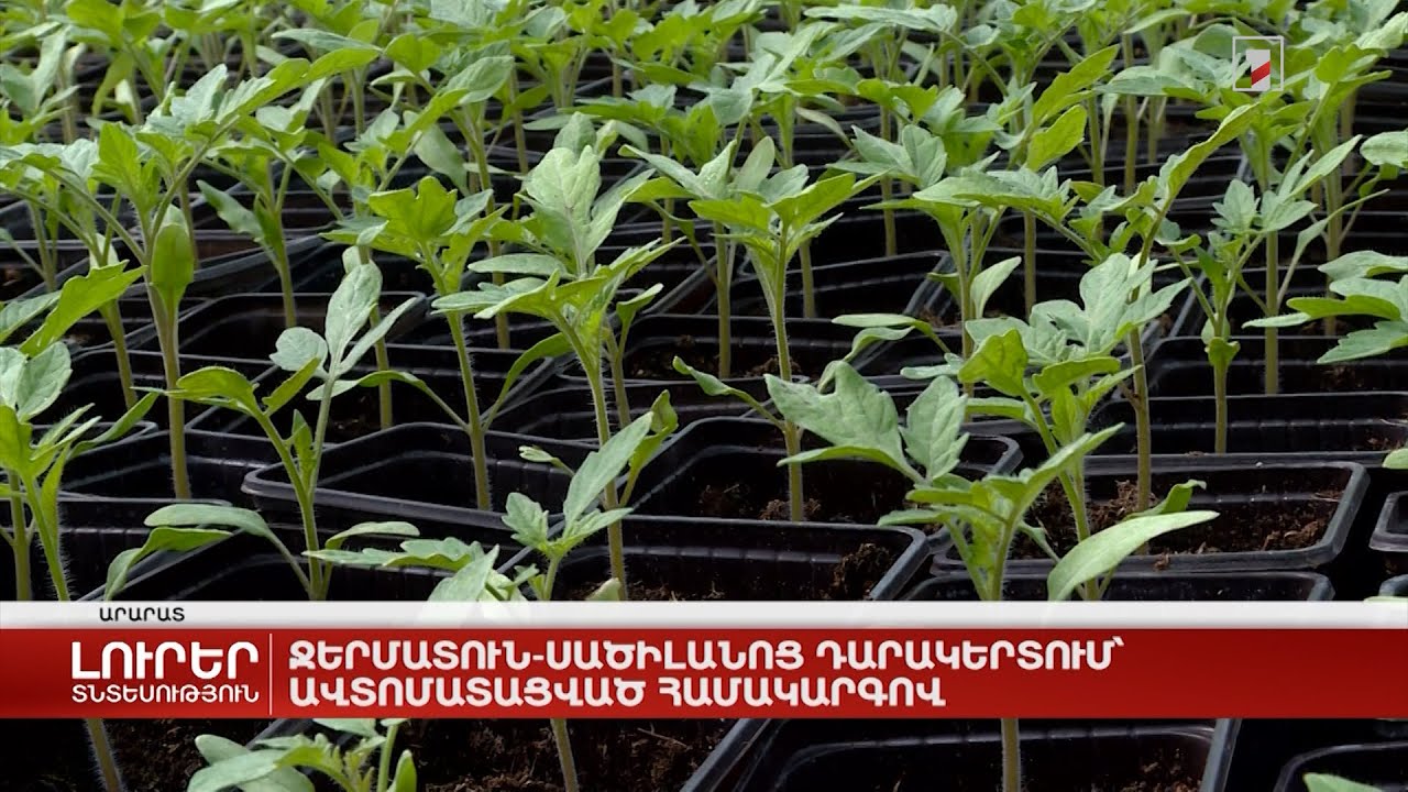 Ջերմատուն-սածիլանոց Դարակերտում՝ ավտոմատացված համակարգով