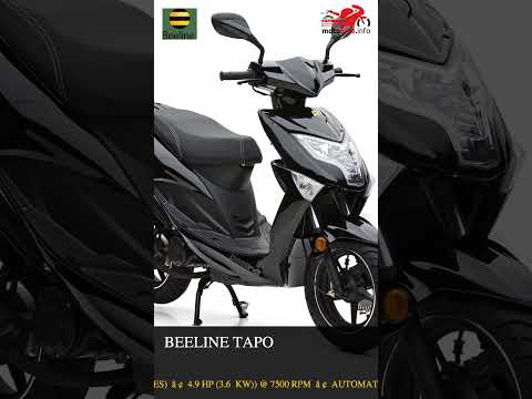 Beeline Tapo - Video 1