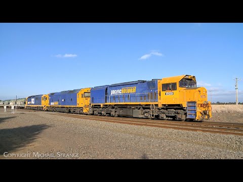 7733V Standard Gauge Pacific National Grain Train With WGBY & WGSY Hoppers (25/5/2024) - PoathTV
