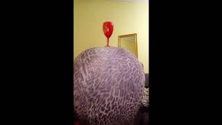 bbw perla big ass!!