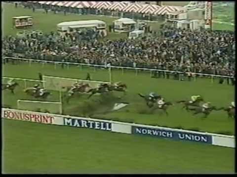 Abandoned Grand National 1993 BBC Highlights Horse Racing