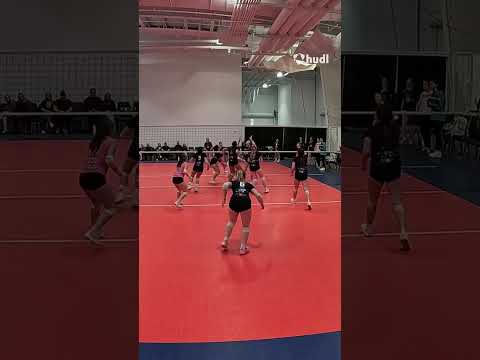 Primary Highlight Reel